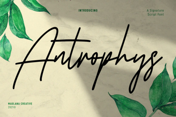 Antrophys Script Font for Polished Branding and Creative Projects