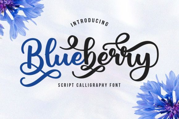 Blueberry Script Font: A Charming Addition to Digital Design