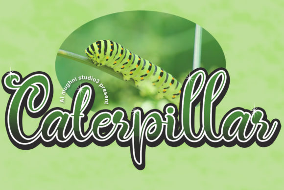 Caterpillar Script: A Premium Script Font for Editorial Design