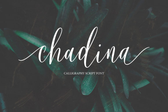 Chadina Script Font: A Simple Way to Elevate Your Brand