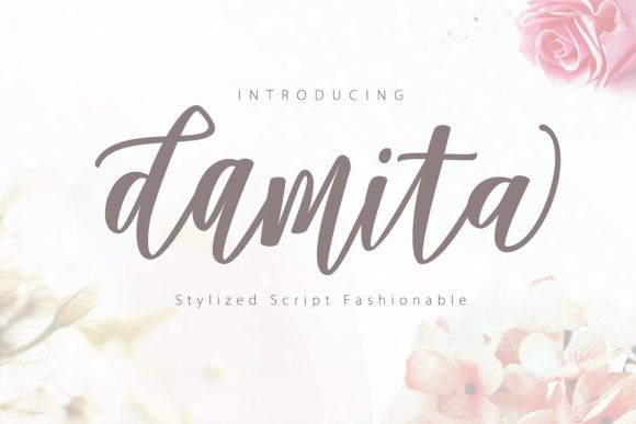 Damita Script Font for Professional and Contemporary Branding