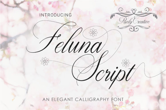 Feluna Script Font for Romantic and Modern Branding Projects