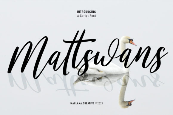Mattswans Script Font for Creative Projects