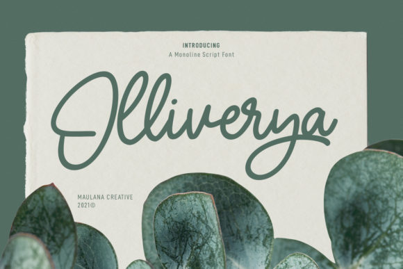 Olliverya Script: A Premium Handwritten Font for Campaign Designers